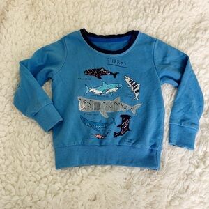 Gender Neutral Girls Boys Sky Blue Shark 🦈 Graphic Pullover Sweatshirt 2-3Y